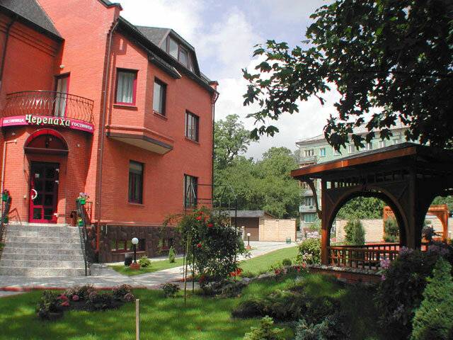 Фото Гостиницы Черепаха Калининград 2