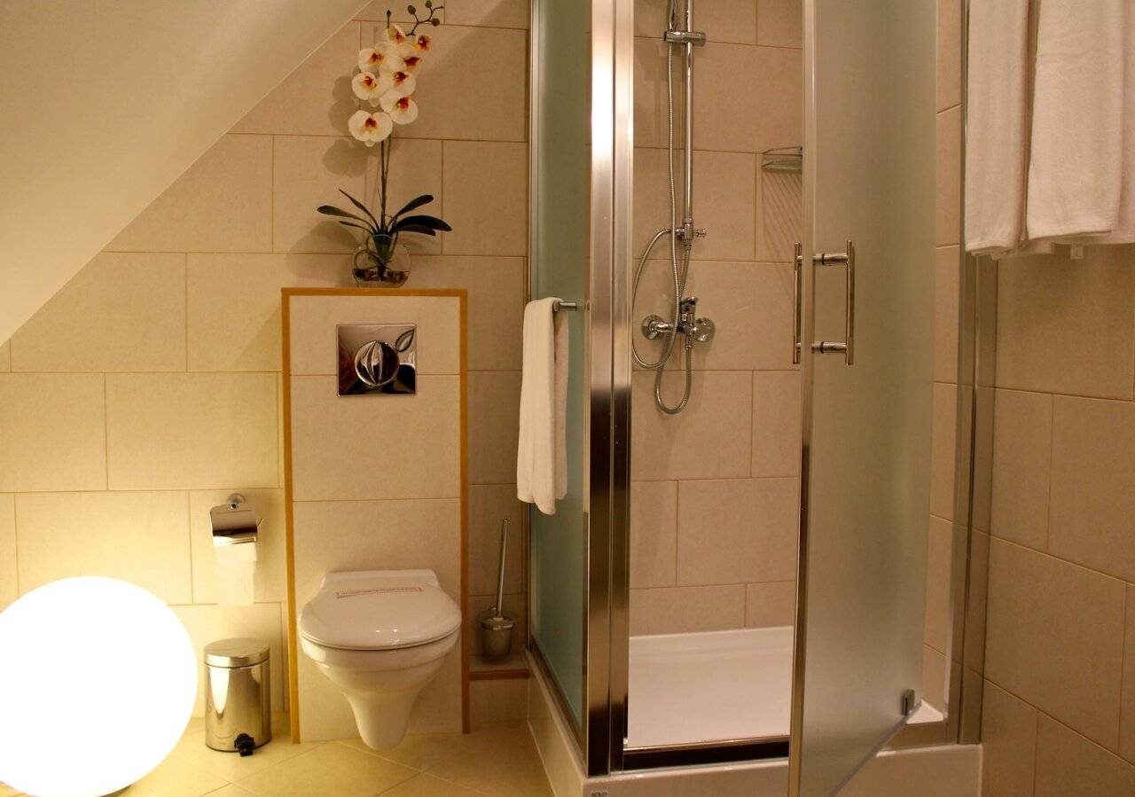 Фото Гостиницы Черепаха Калининград 102