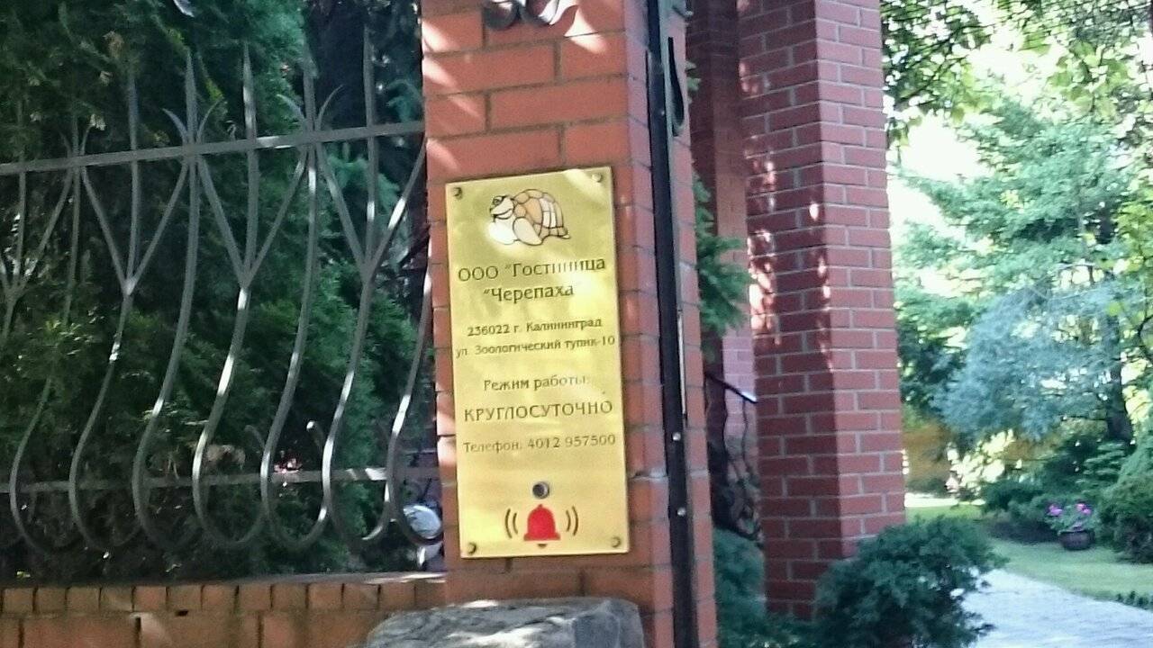 Фото Гостиницы Черепаха Калининград 29