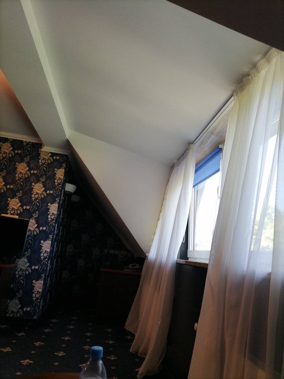 Фото Гостиницы Черепаха Калининград 223