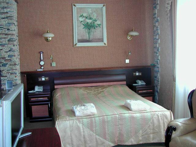 Фото Гостиницы Черепаха Калининград 12