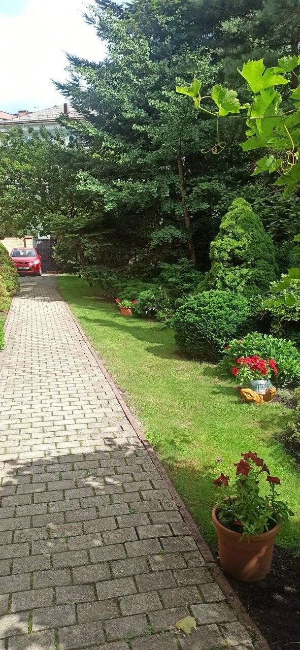 Фото Гостиницы Черепаха Калининград 222