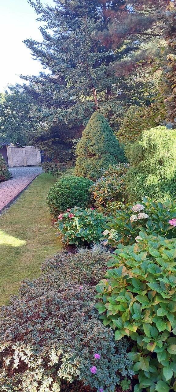 Фото Гостиницы Черепаха Калининград 188