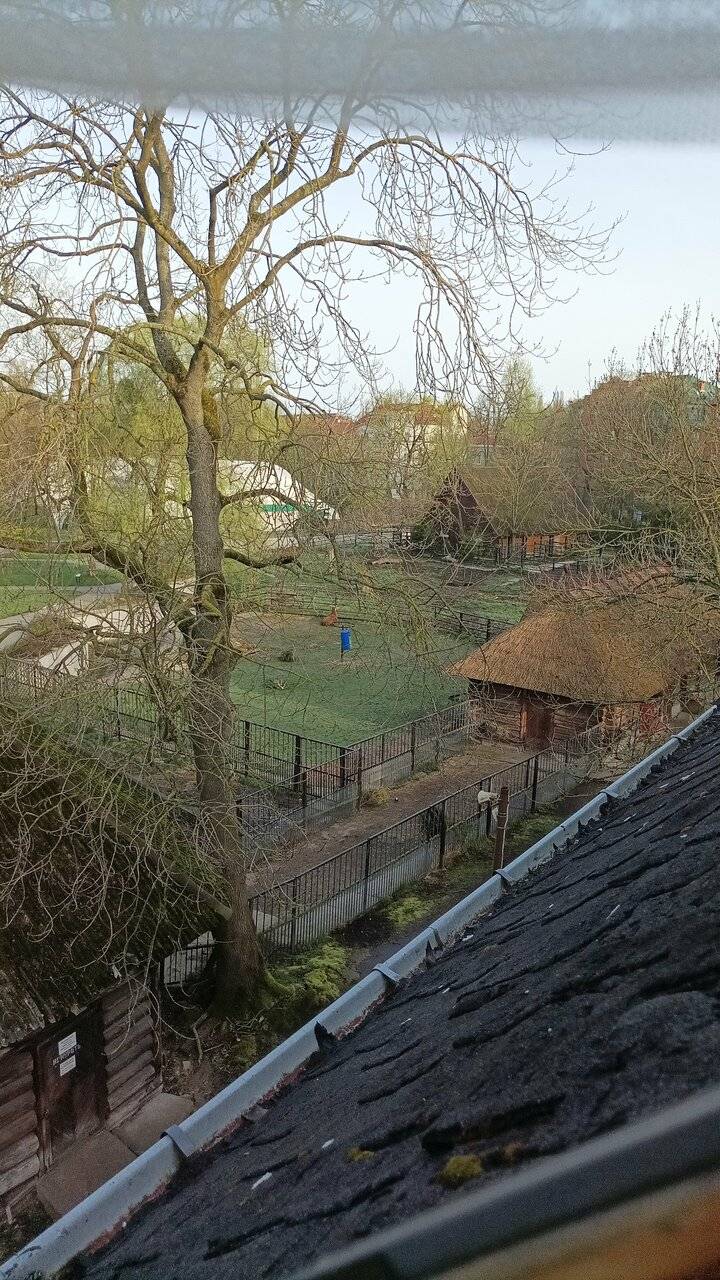 Фото Гостиницы Черепаха Калининград 215